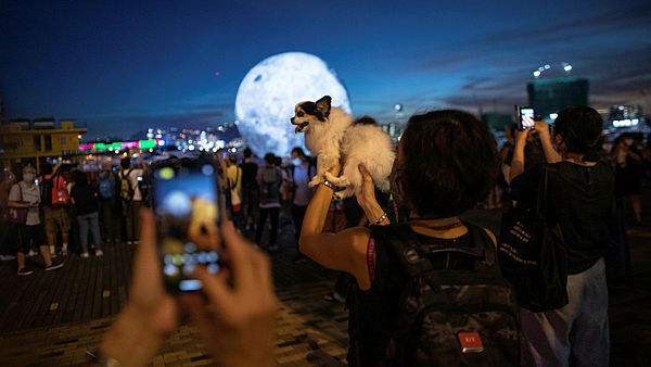 סינית עם הכלב שלה בחג אמצע הסתיו, הונג קונג, סין, JEROME FAVRE, EPA