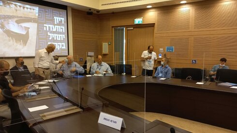 הדיון בוועדת הכלכלה היום, צילום: דוברות הכנסת