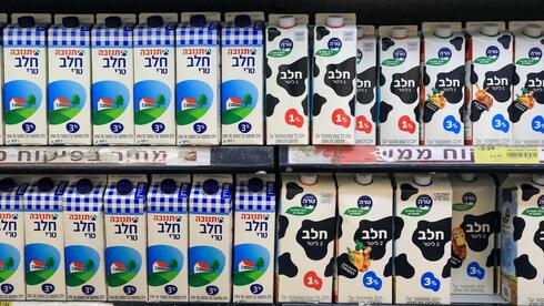גל ההתייקרויות במשק: מחירי מוצרי החלב שבפיקוח יעלו ב-4.9%