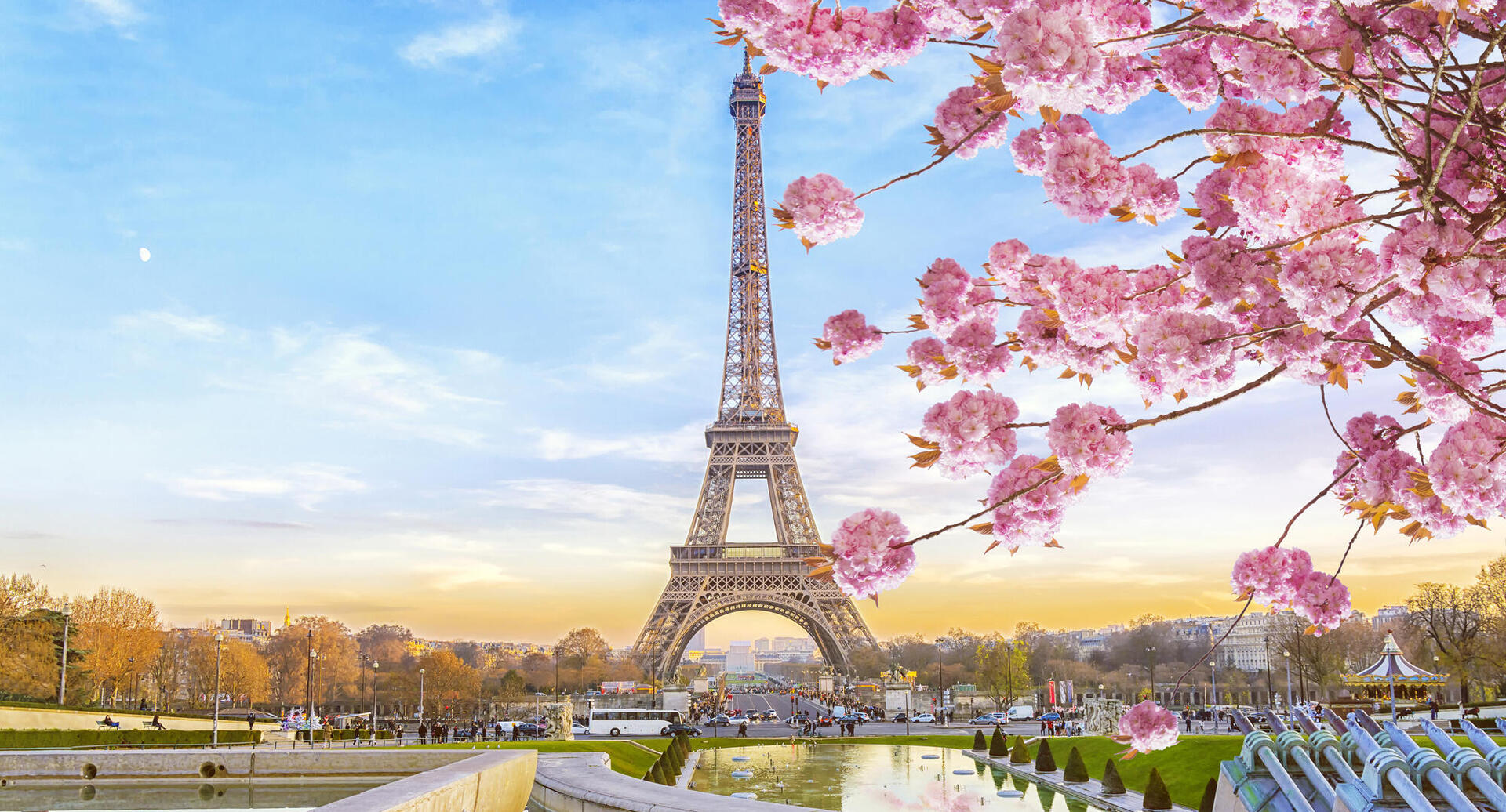 פוטו פריחות אביב פריז