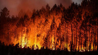 פוטו שריפות באירופה דרום מערב צרפת, צילום: איי אף פי