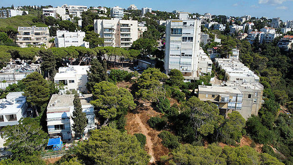 למרות ההתנגדות: הוועדה המחוזית מקדמת בנייה למגורים בשטח ציבורי בחיפה