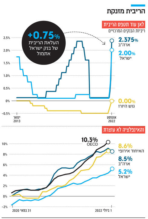 צילום: דנה קופל