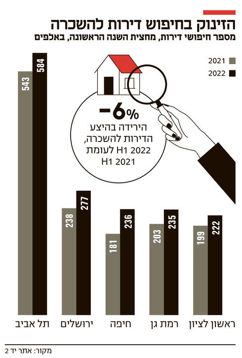 צילום: דוד הכהן