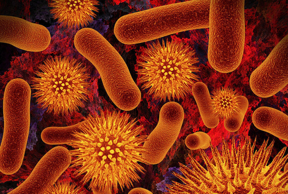 Biomica raises $20 million for microbiome-based therapeutics | Ctech