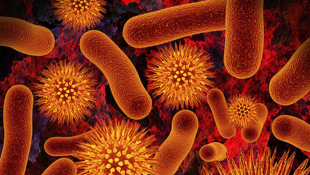 וירוס וירוסים חיידק חיידקים בקטריות