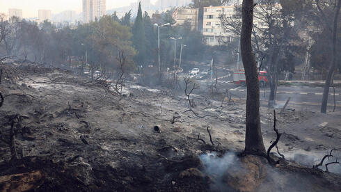 חיפה לא תמתין לסיוע ממשלתי: תממן לבד תכנון לכבישי מילוט