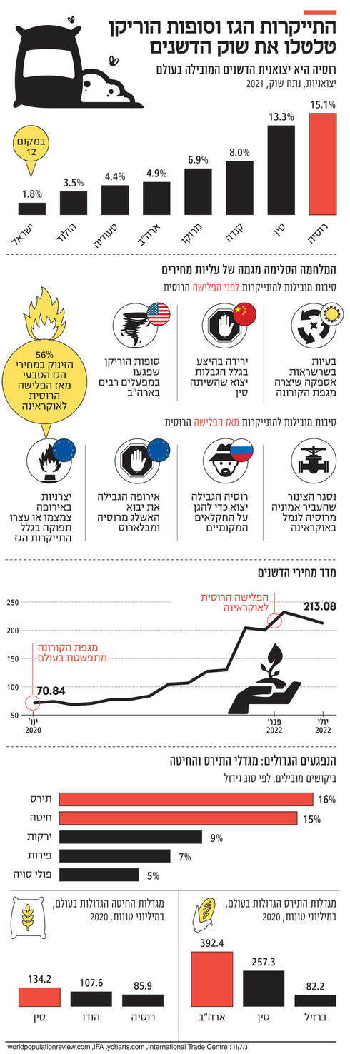 צילום: איי אף פי