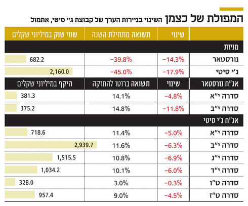 צילום: עמית שעל