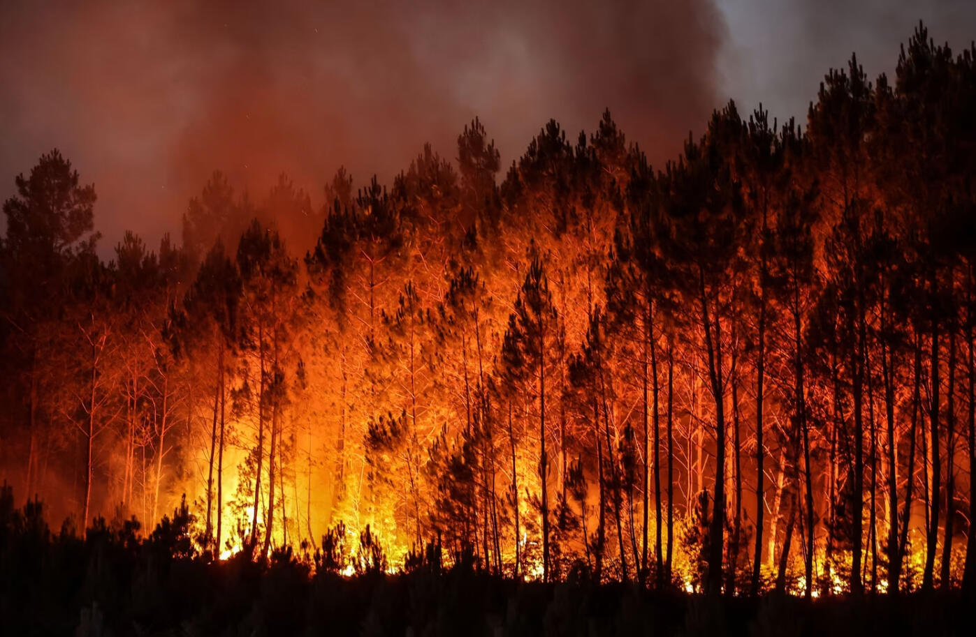 חם שם בחוץ: תמונות מהשריפות באירופה